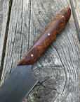 Western Kitchen Petty Knife — Ambrosia Maple Burl & Copper