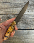 Drop-Point Harvester— Buckeye Burl & Brass