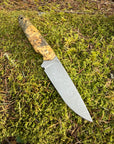 Drop-Point Harvester— Spalted Buckeye Burl & Brass