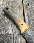 Survival Scout Knife — Spalted Buckeye & Linen