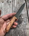 Mountain Scout Knife — Maple Burl & Brass