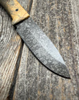 Survival Scout Knife — Spalted Buckeye & Linen