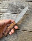 Long Scout Knife— Ambrosia Maple & Brass