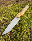 Drop-Point Harvester— Spalted Buckeye Burl & Brass