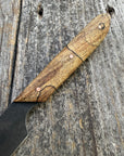 Western Paring Knife 3.75" — Spalted Maple & Brass