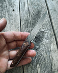 Ocelot Pocket EDC knife — Redwood Burl & copper