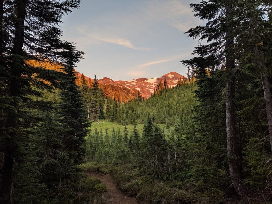 Founded in the Oregon Woods. A photo of the three sisters wilderness.