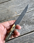 Western Paring Knife 3.75" — Buckeye Burl & Linen Micarta