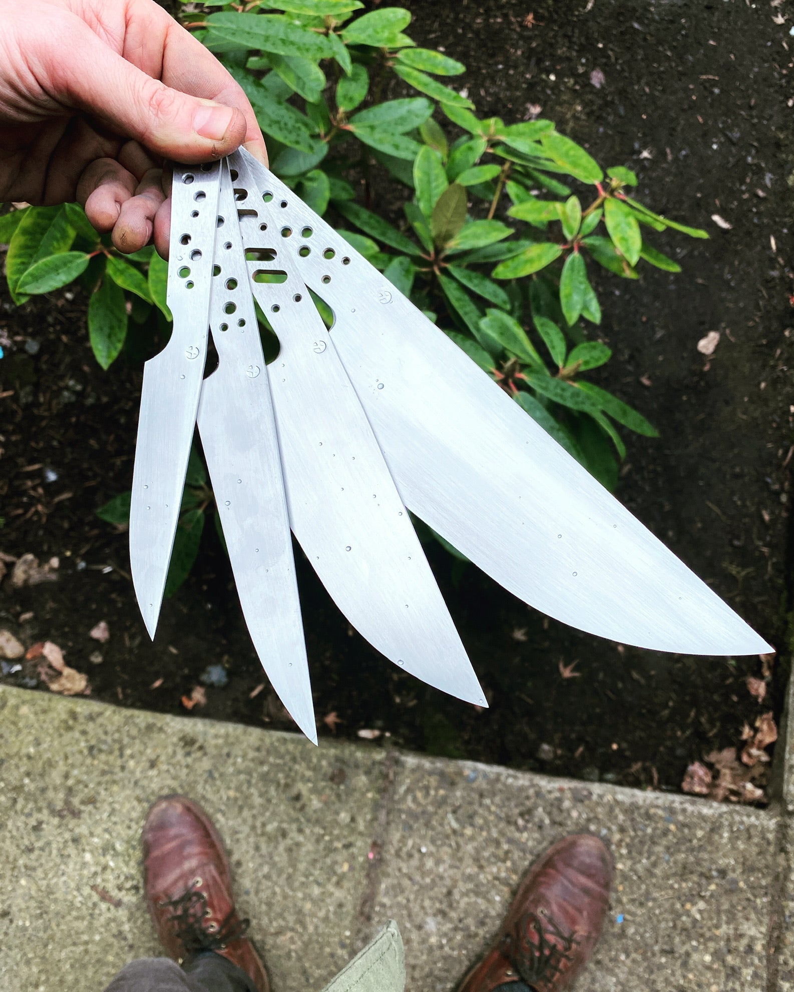 Petty, Paring, and kitchen Utility knives What's the difference