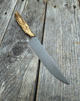 Prototype kitchen petty knife