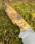 Drop-Point Harvester— Spalted Buckeye Burl & Brass