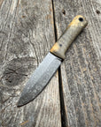 Survival Scout Knife — Spalted Buckeye & Linen