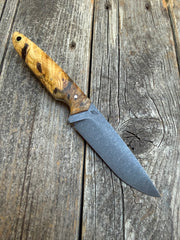 Drop-Point Harvester— Buckeye Burl & Brass