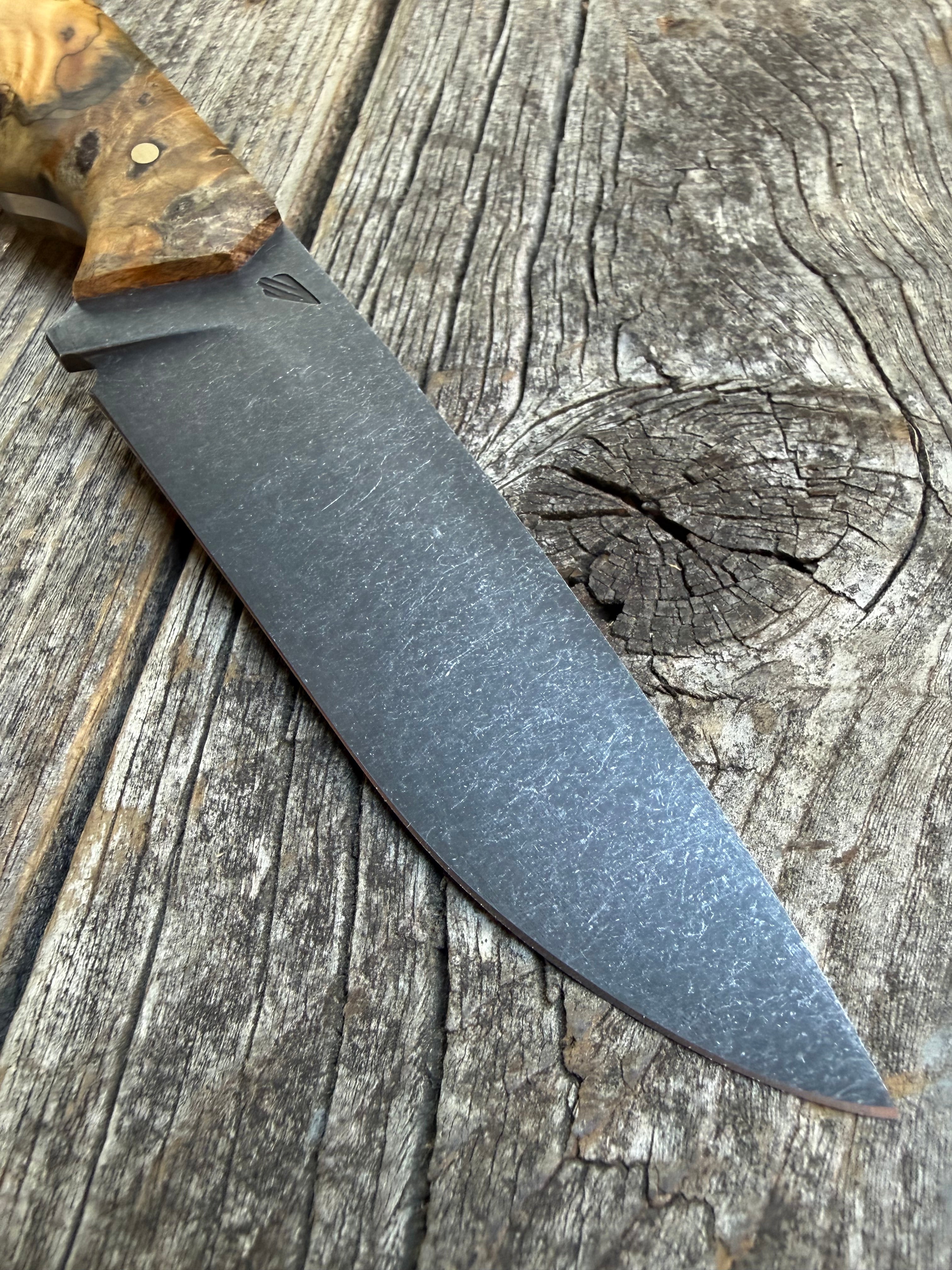Drop-Point Harvester— Buckeye Burl & Brass