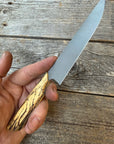 Prototype Kitchen Petty Knife — Spalted Hickory & Brass