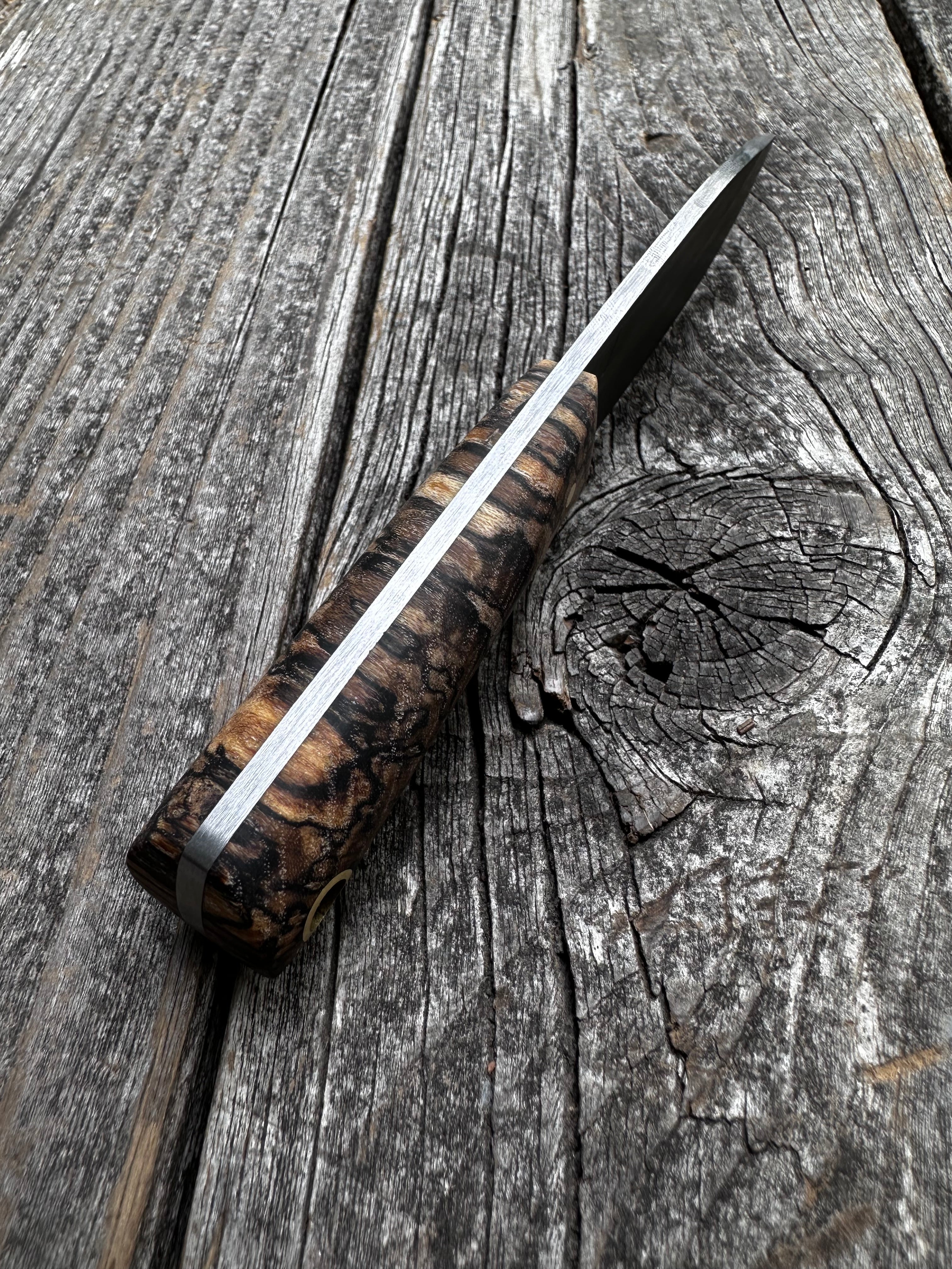 Survival Scout Knife — Spalted Maple & Brass