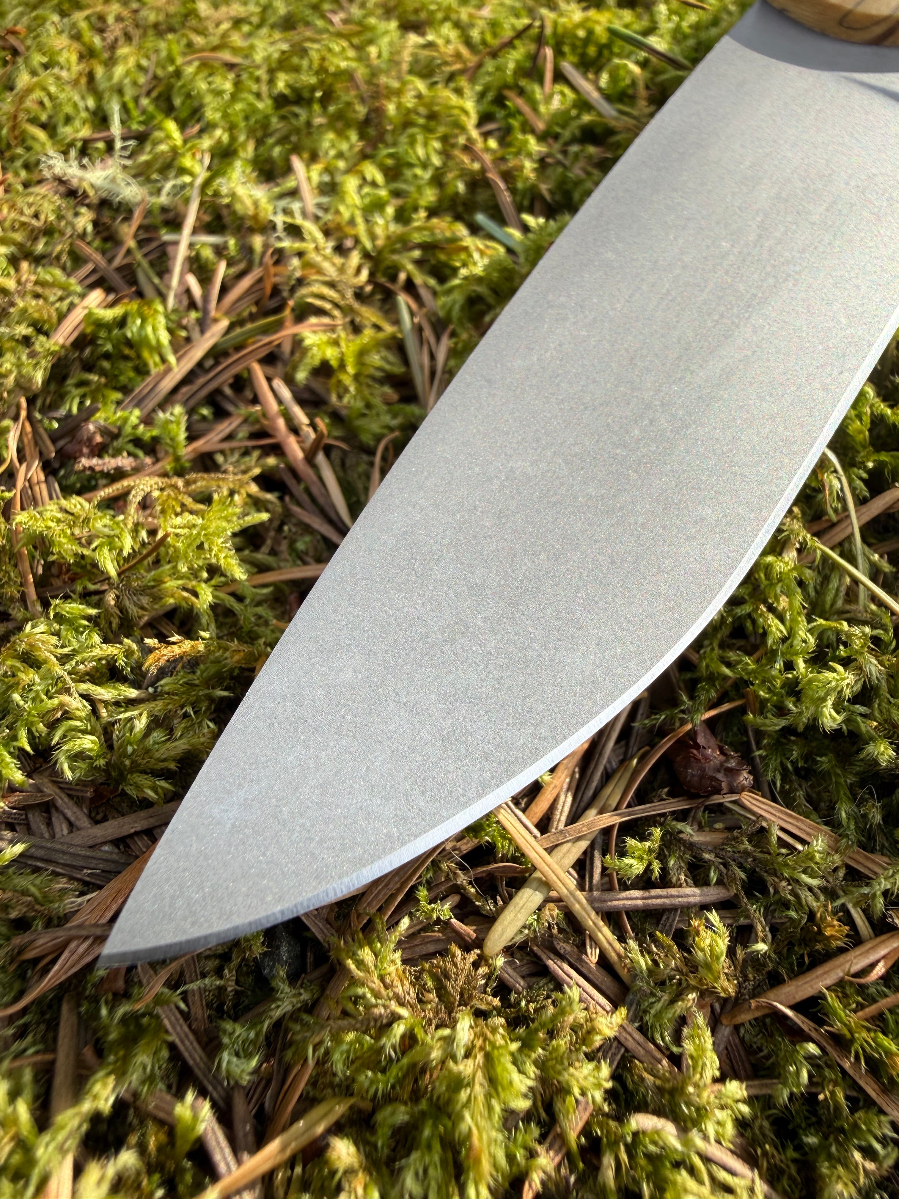 Drop-Point Harvester— Spalted Buckeye Burl & Brass