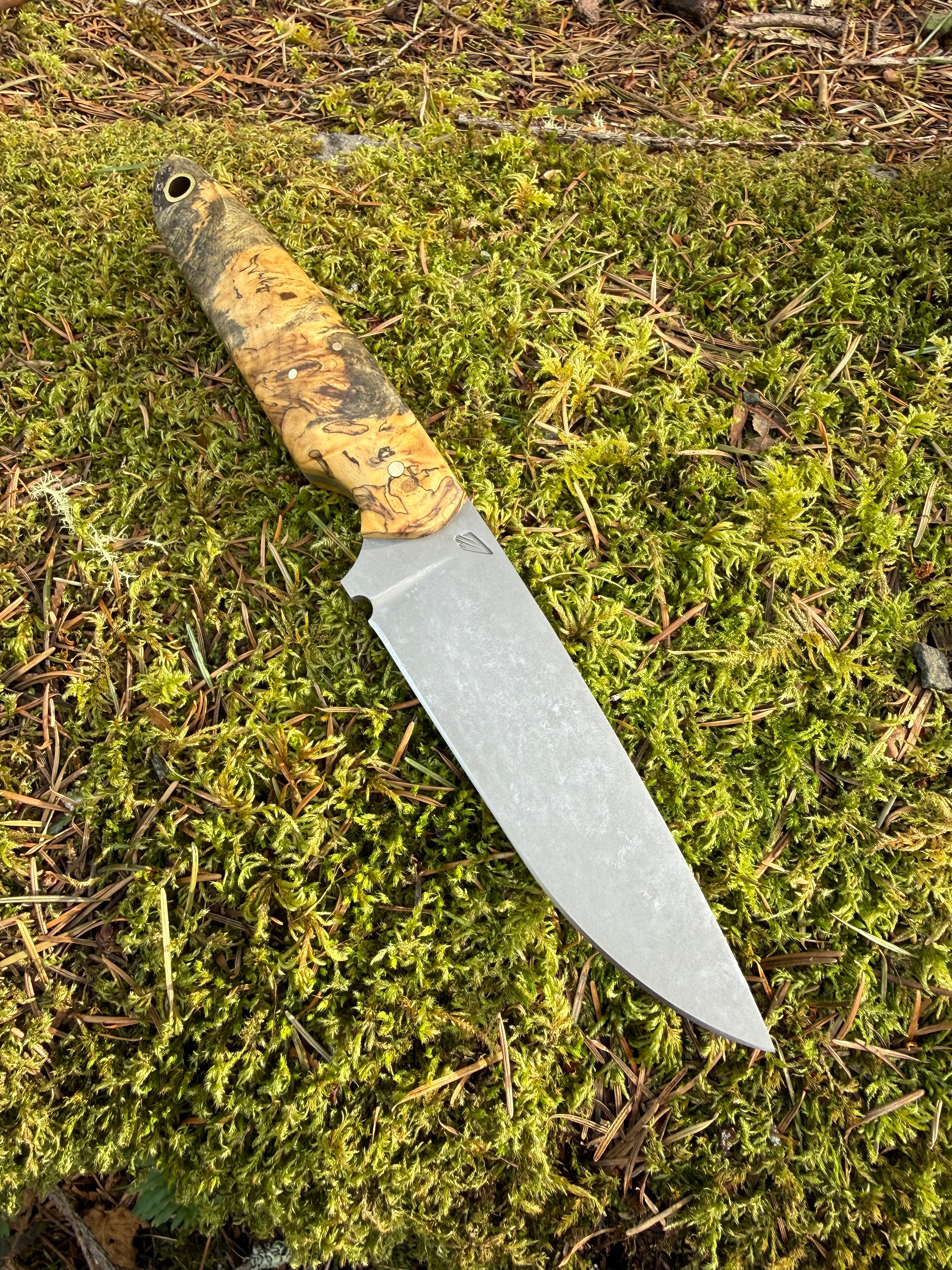 Drop-Point Harvester— Spalted Buckeye Burl & Brass