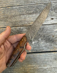 Drop-Point Harvester— Spalted Dark Maple & Brass