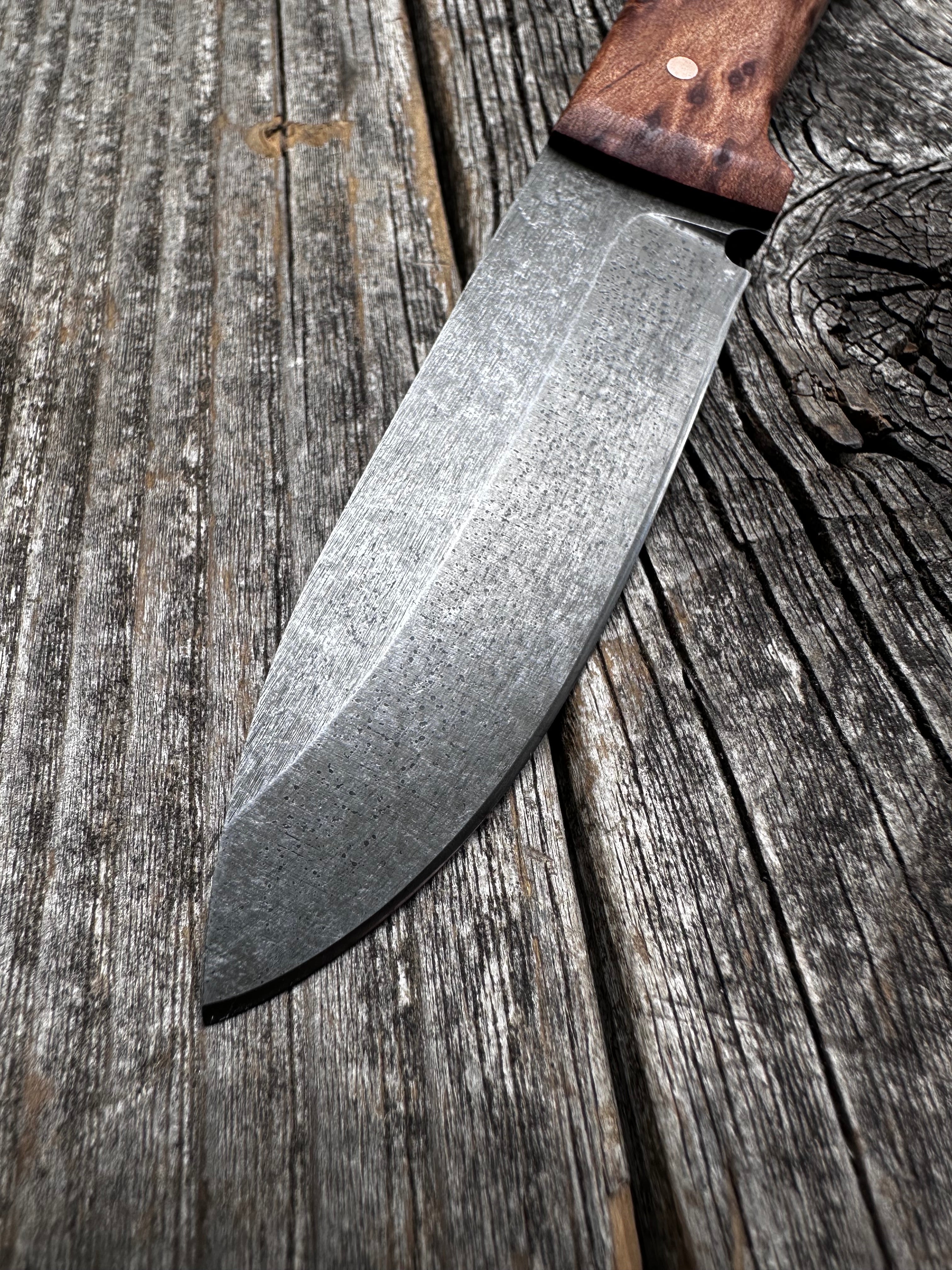 Mountain Scout Knife — Redwood Lace Burl & Copper