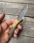 Survival Scout Knife — Spalted Buckeye & Linen