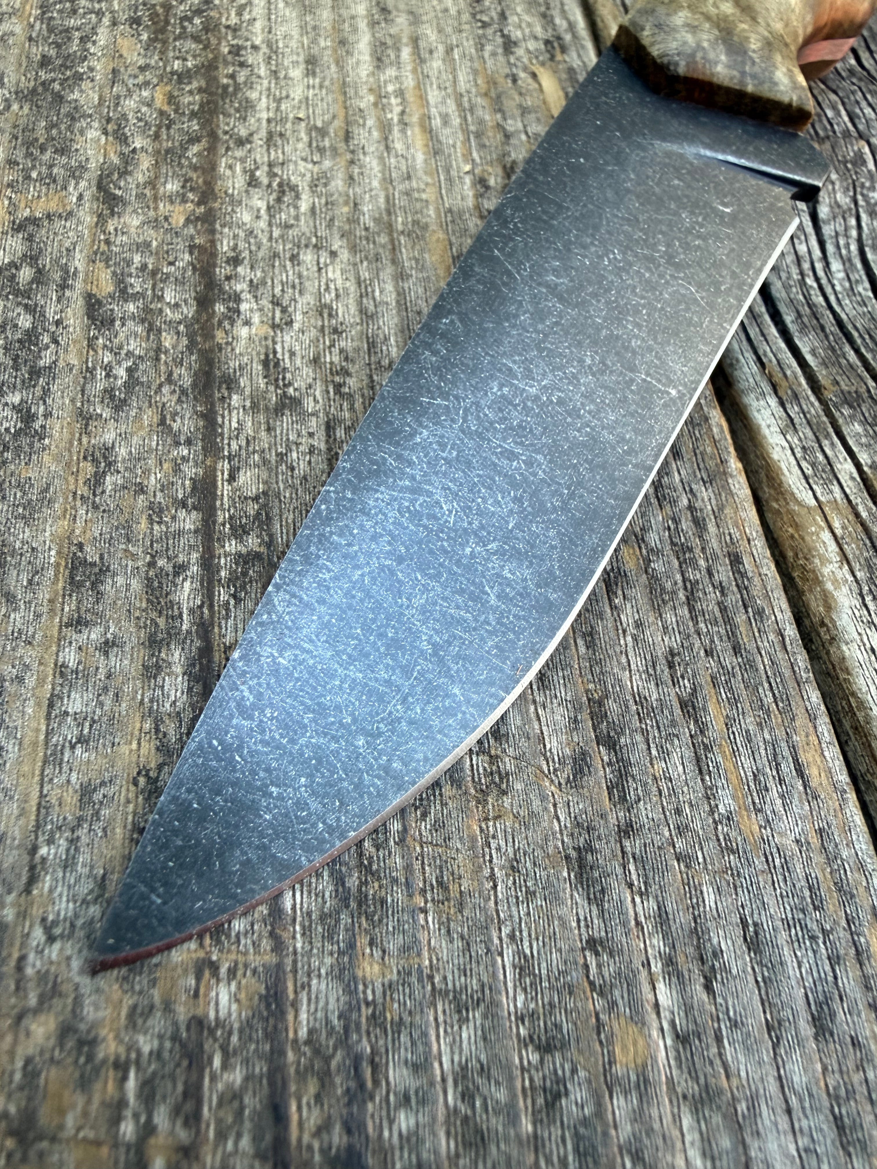 Drop-Point Harvester— Buckeye Burl & Brass