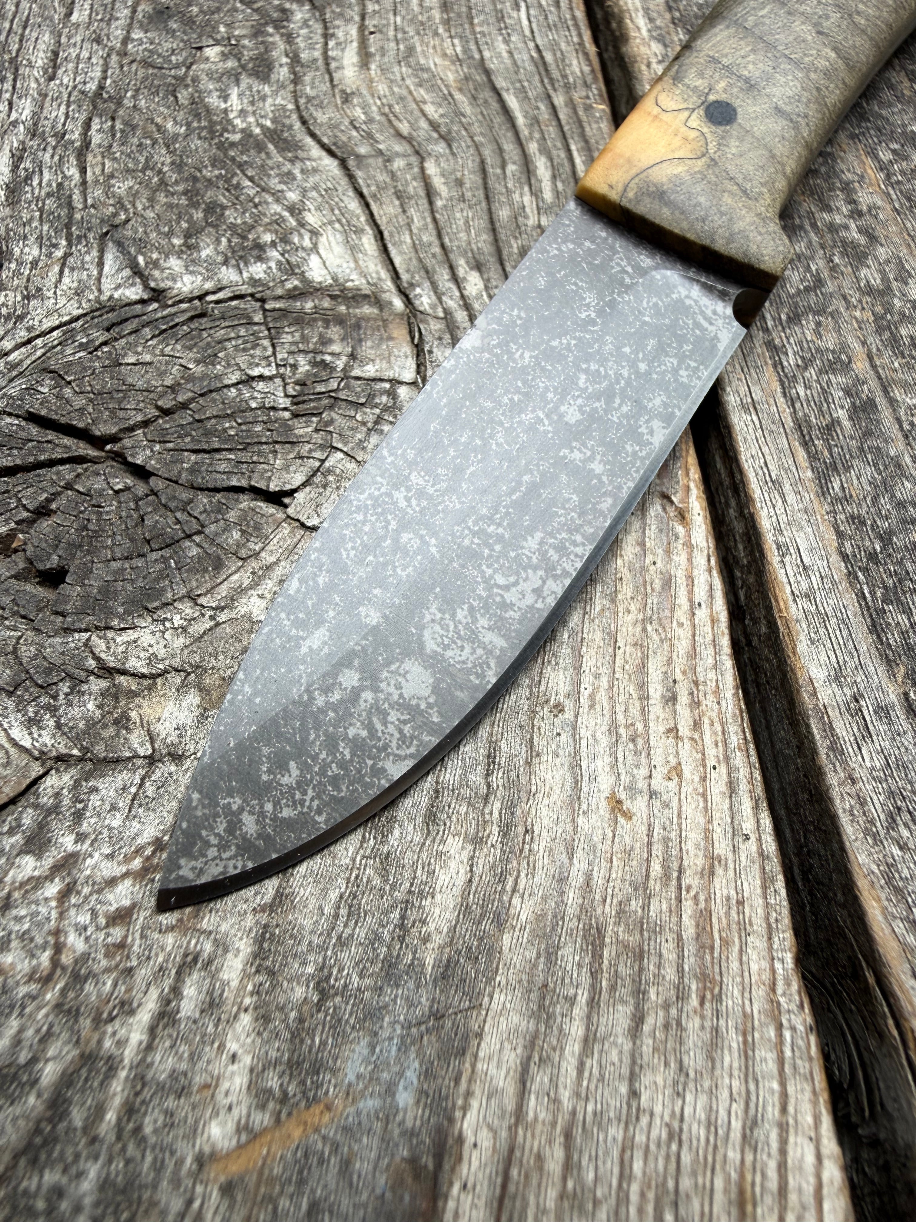 Survival Scout Knife — Spalted Buckeye & Linen