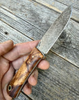 Mountain Scout Knife — Ambrosia Maple & Brass