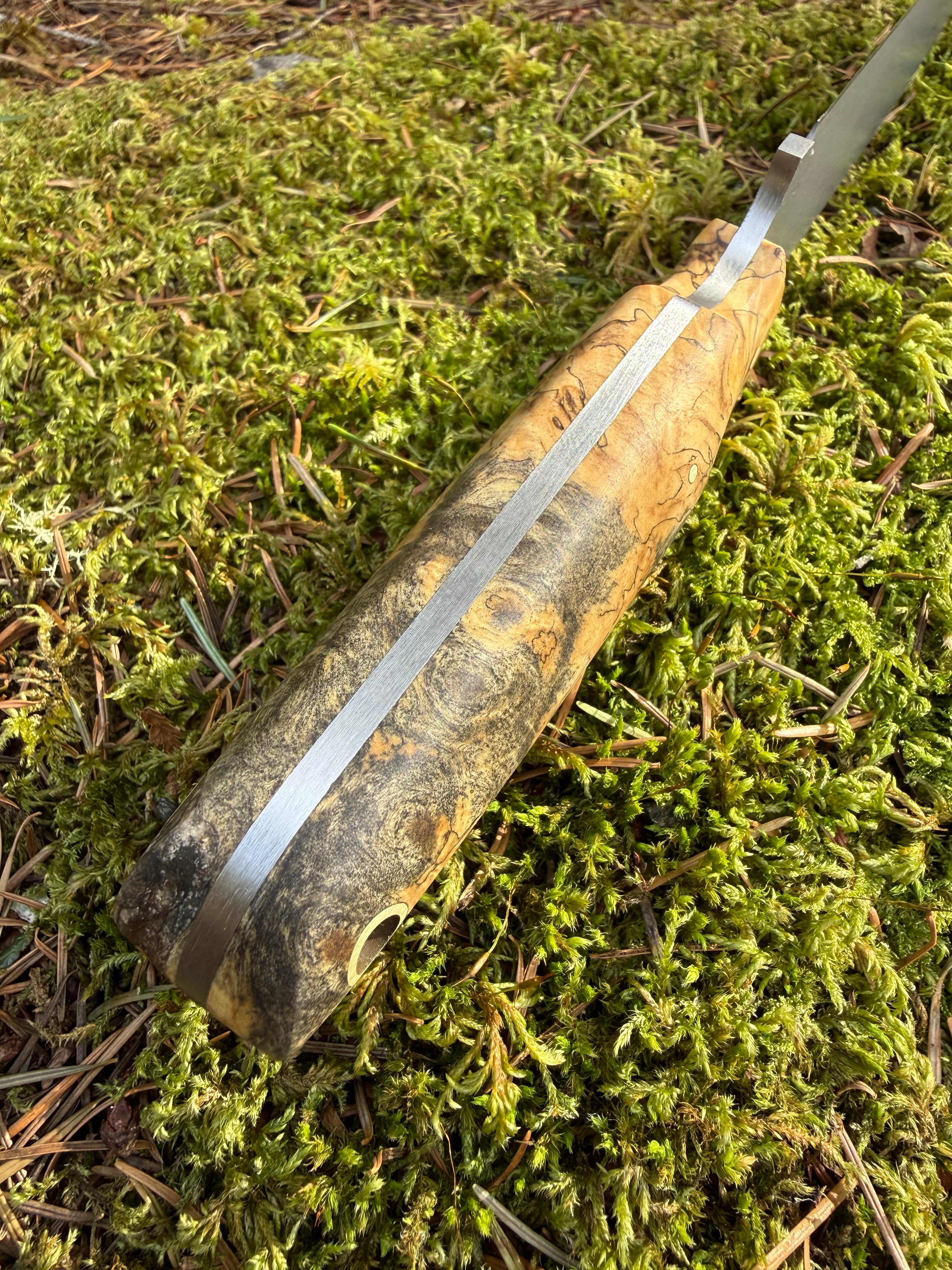 Drop-Point Harvester— Spalted Buckeye Burl & Brass