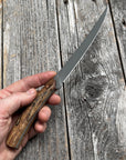 Mattei’s Boning/Fillet knife 6" — (Rigid) Spalted Maple & Brass