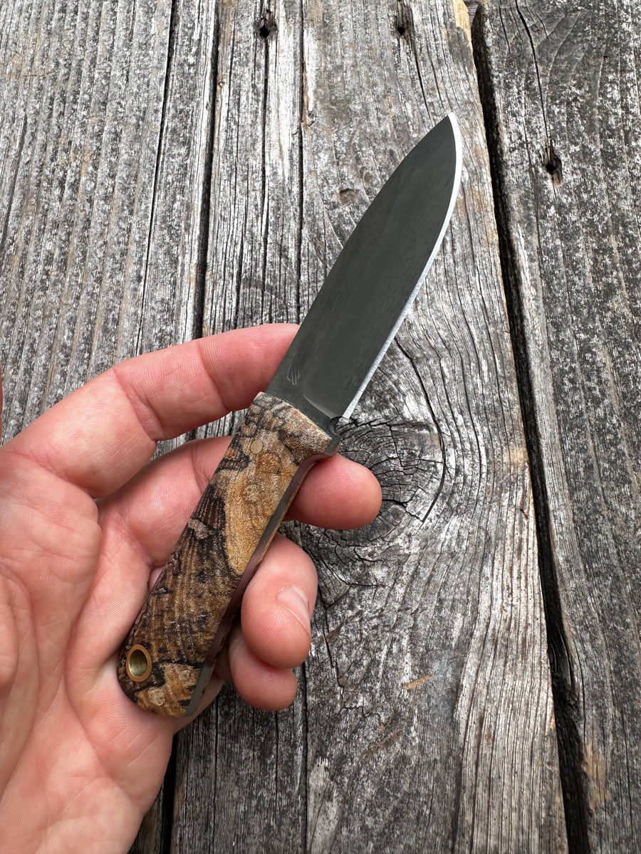 Survival Scout Knife — Spalted Maple & Brass