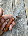 Mountain Scout Knife — Desert Ironwood  & Brass