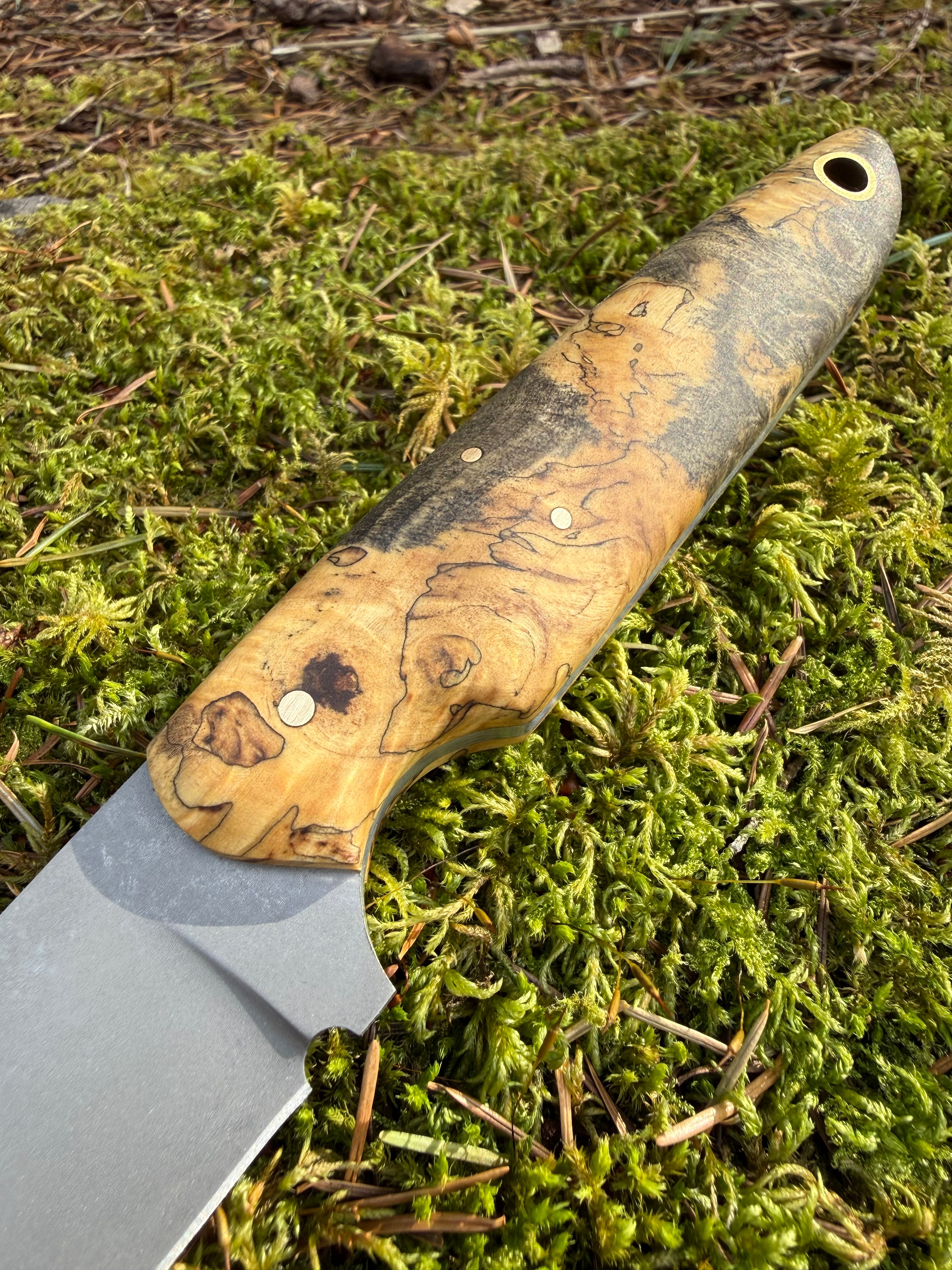 Drop-Point Harvester— Spalted Buckeye Burl & Brass