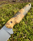 Drop-Point Harvester— Spalted Buckeye Burl & Brass