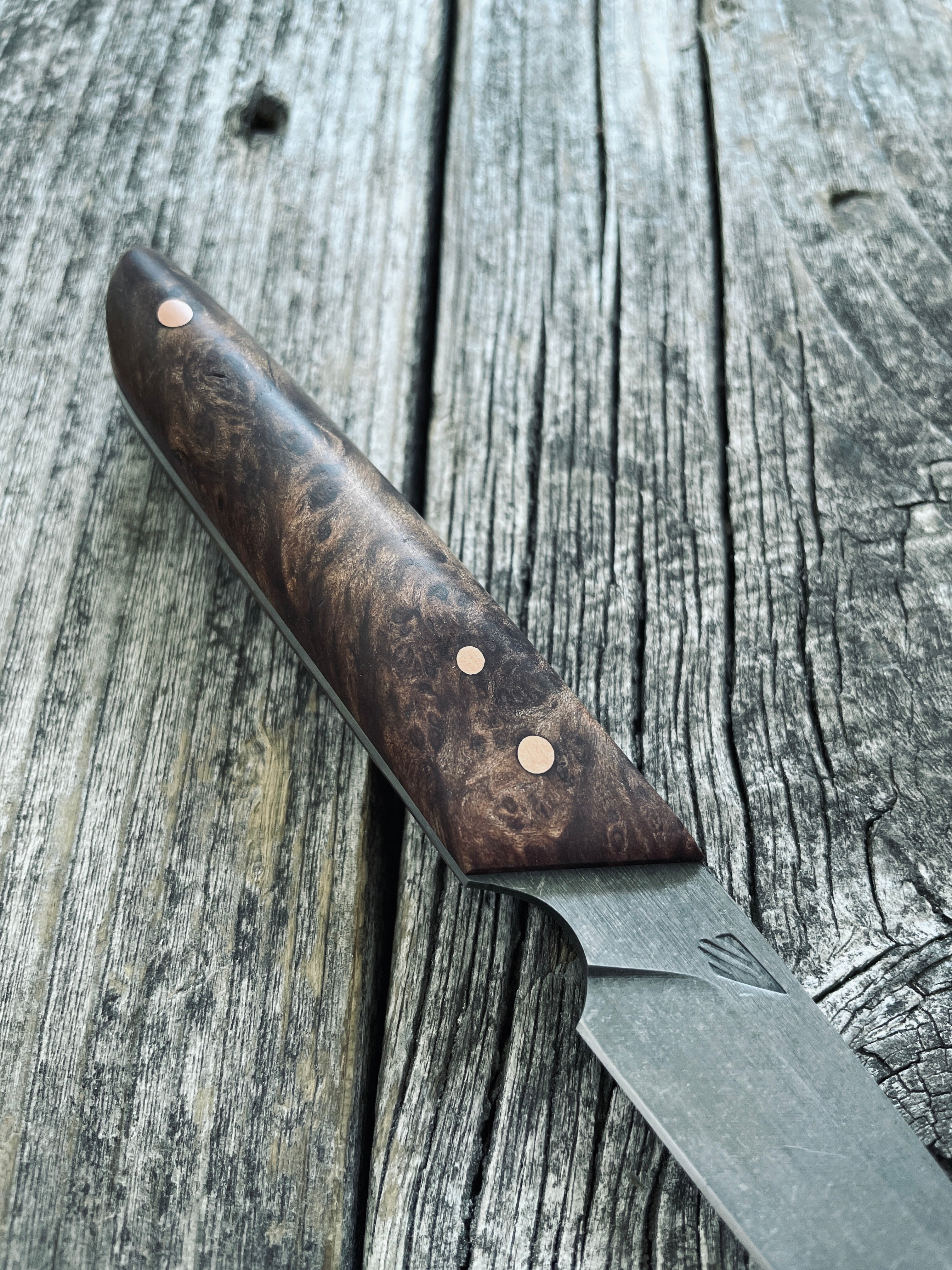 Ocelot Pocket EDC knife — Redwood Burl & copper