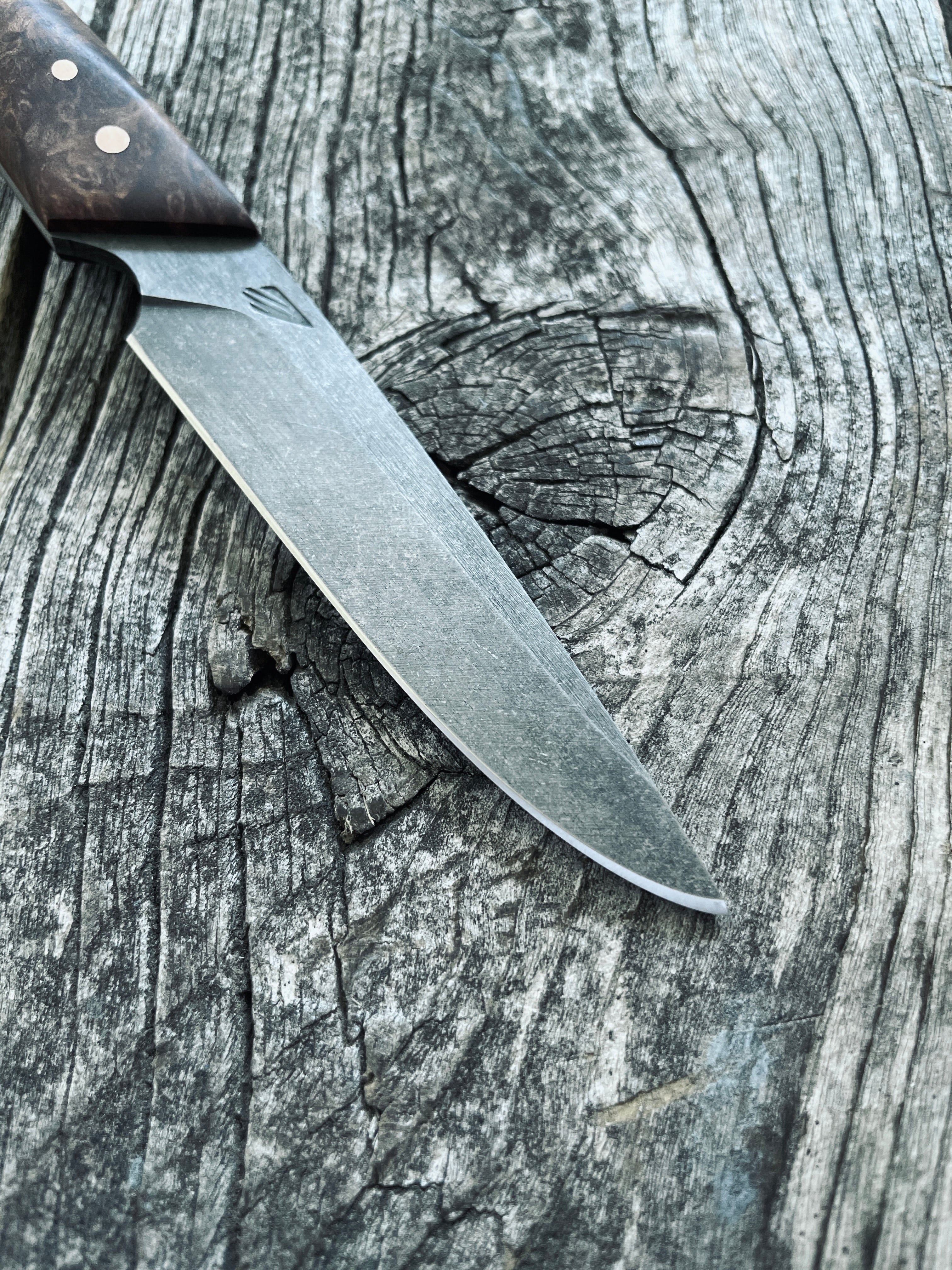 Ocelot Pocket EDC knife — Redwood Burl & copper