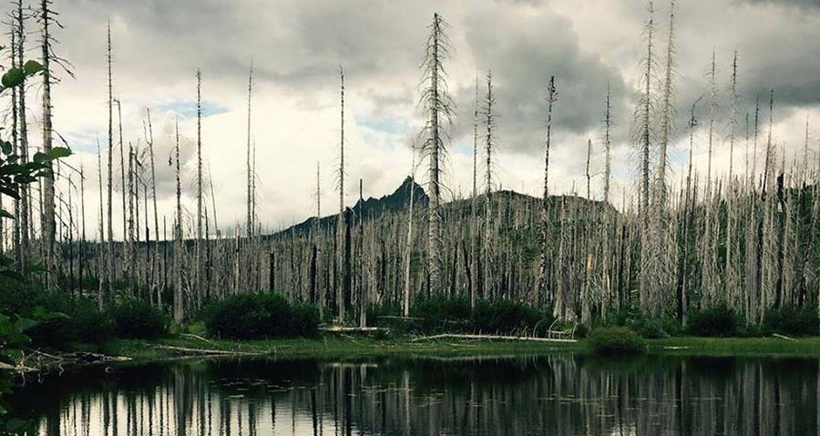 Three Fingered Jack mountain. Redroot Blades. Mountain lake. camping knives. Portland Oregon