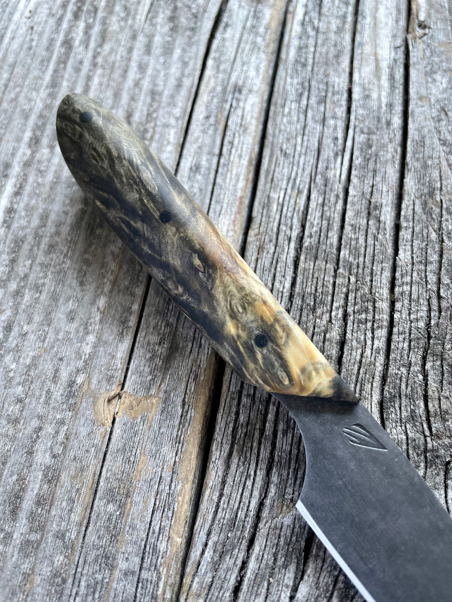 Western Paring Knife 3.75" —  Buckeye Burl & Linen Micarta