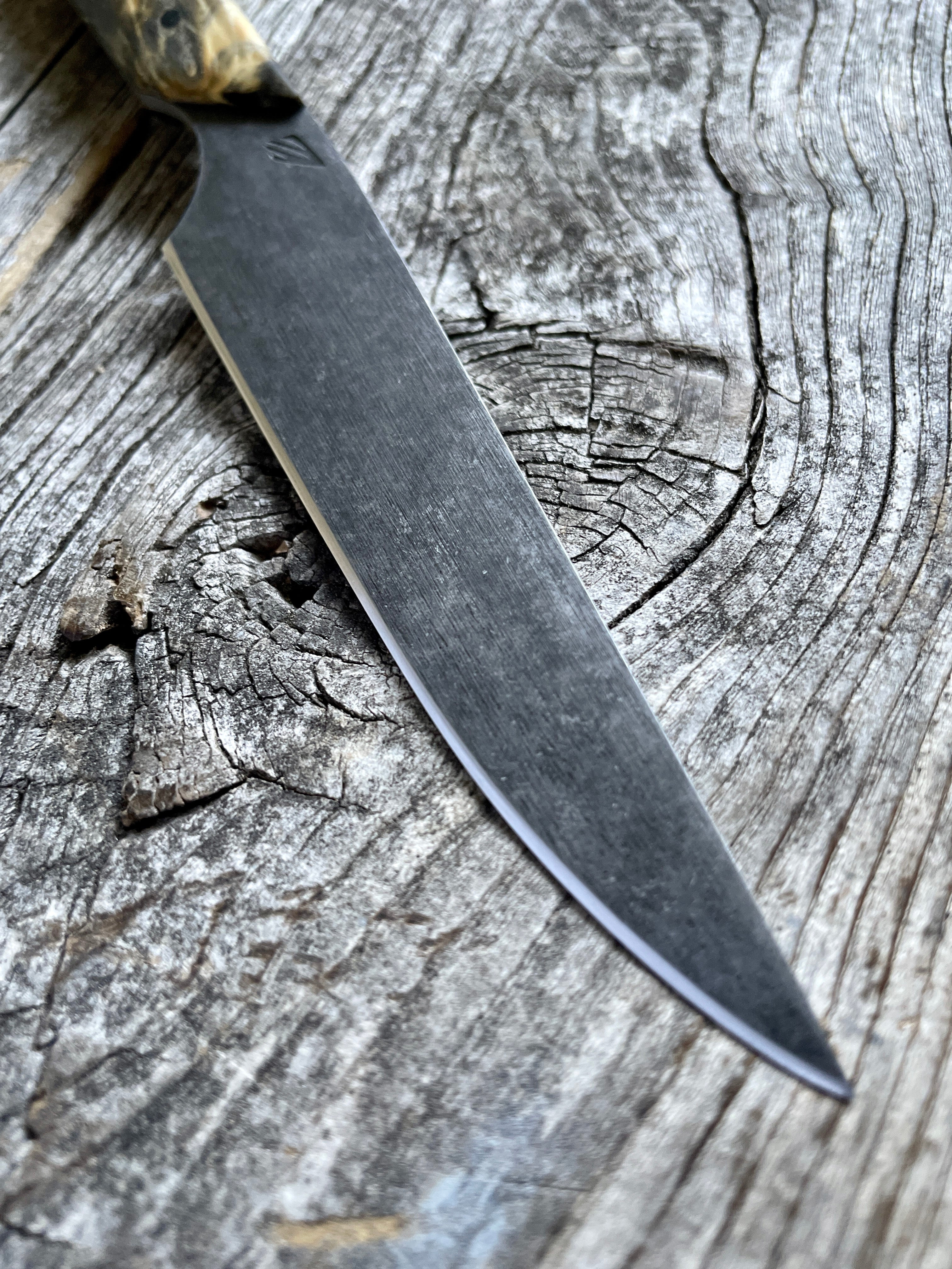 Western Paring Knife 3.75" —  Buckeye Burl & Linen Micarta