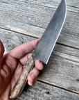 Western Mini-Chef's Knife — Spalted Maple & Copper