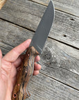 Prometheus Hunter — (stainless) Spalted Maple & Copper